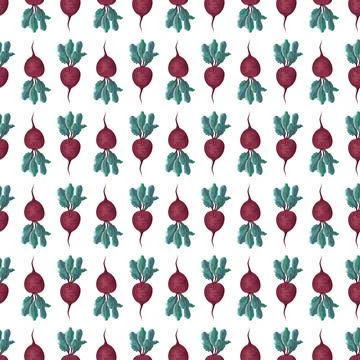 Seamless pattern with beet. Stock Illustration