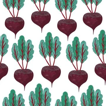 Seamless pattern with beet vegetables. Vector hand drawn detailed illustratio Stock Illustration