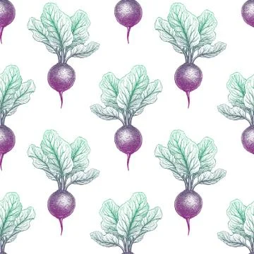 Seamless pattern with beetroot. 스톡 일러스트