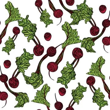 Seamless pattern with beets on white background. Stock Illustration