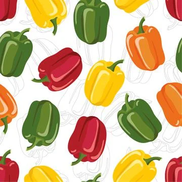 Seamless pattern with Bell pepper. Different colors pepper. Fresh farm Stock Illustration