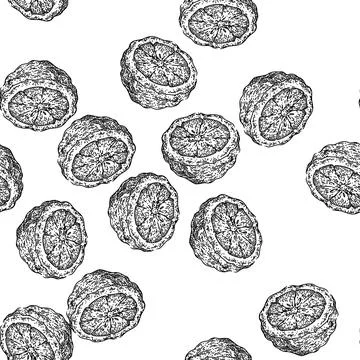 Seamless pattern bergamot cut fruit natural sketch hand drawn Stock Illustration