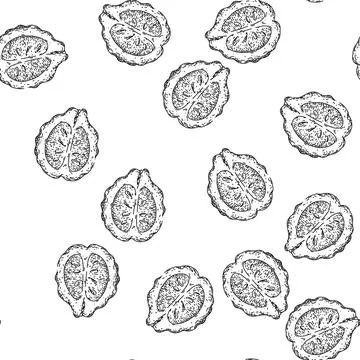 Seamless pattern bergamot food fruit natural sketch hand drawn 스톡 일러스트