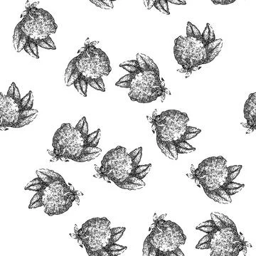 Seamless pattern bergamot fruit natural sketch hand drawn Stock Illustration