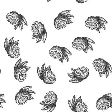 Seamless pattern bergamot organic fruit natural sketch hand drawn 스톡 일러스트