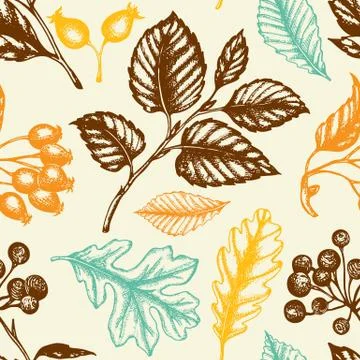 Seamless pattern with berries and falling leaves. Stock Illustration