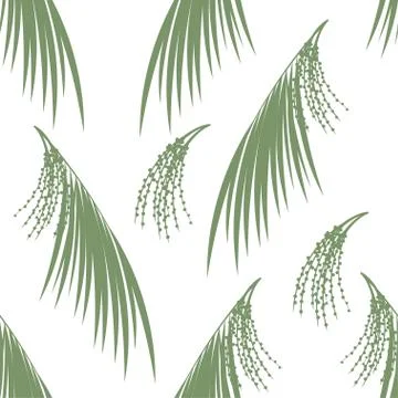 Seamless pattern berries and leaves of Acai palm . Floral background. Vector Stock Illustration