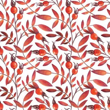 Seamless pattern with .berries and leaves of rosehip. Watercolor illustration Stock Illustration