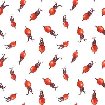 Seamless pattern with berries and leaves of rosehip. Watercolor illustration. Stock Illustration