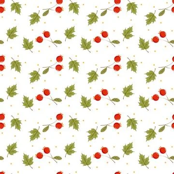 Seamless pattern with berries and maple leaf Stock Illustration
