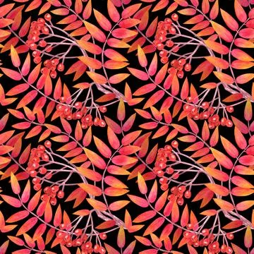 Seamless pattern with .berries and mountain ash branches. Watercolor Illustrazione stock