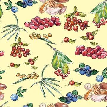 Seamless pattern of berries and nuts Stock Illustration
