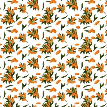 Seamless pattern of berries. Autumn background with sea buckthorn berries. .. Stock Illustration