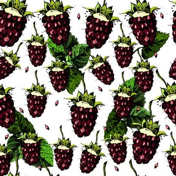 Seamless pattern with berries Illustrazione stock