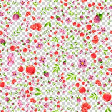 Seamless pattern of berries leaves flowers drawn with colored pencils Stock Illustration