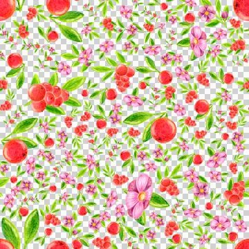Seamless pattern of berries leaves flowers drawn with colored pencils Stock Illustration