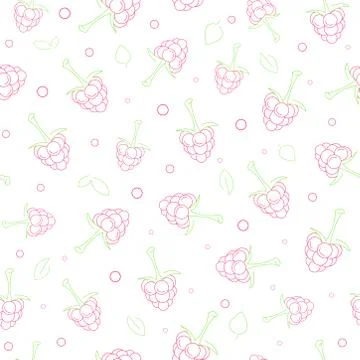 Seamless pattern with berries. The pattern with raspberries in a linear style 스톡 일러스트