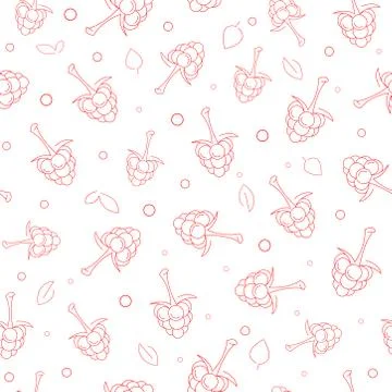 Seamless pattern with berries. The pattern with raspberries in a linear style. 스톡 일러스트