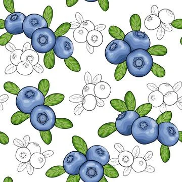Seamless pattern berry blueberry with leaves, contour outline, symbol of su.. Stockillustratie