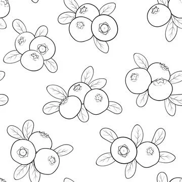 Seamless pattern berry blueberry with leaves, contour outline, symbol of su.. Stock Illustration