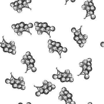 Seamless pattern berry chokeberry aronia sketch hand drawn 스톡 일러스트