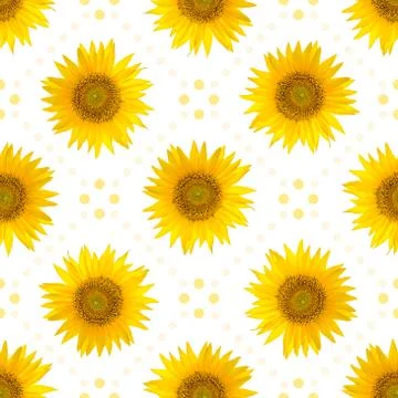Seamless pattern with big bright sunflowers and dots on white background. Illustrazione stock