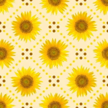Seamless pattern with big bright sunflowers and brown dots on yellow backgrou Stock Photos