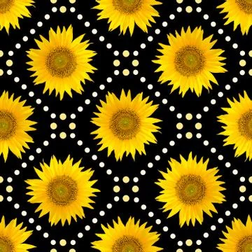 Seamless pattern with big bright sunflowers and brown dots on black backgroun Stock Photos