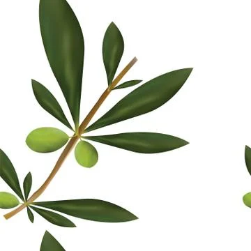 Seamless pattern with big olive tree branch vector 스톡 일러스트
