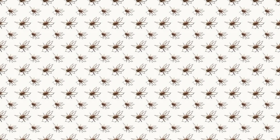 Seamless pattern with big spider isolated on white background. Large Foto stock