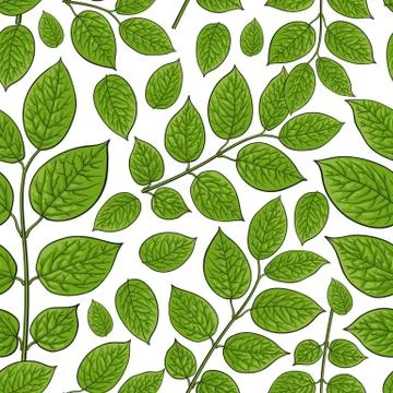 Seamless pattern of birch, honeysuckle leaves Stock Illustration