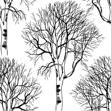 Seamless pattern birch trees bare branches black and white Stock Illustration