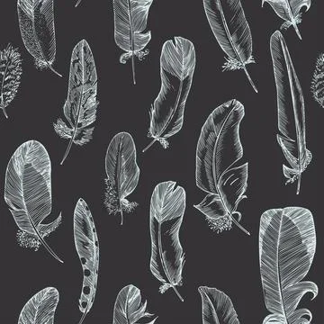 Seamless pattern of bird feather on chalkboard background Stock Illustration