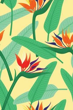 Seamless Pattern of Bird of Paradise Flowers for Tropical Plant Background Stock Illustration