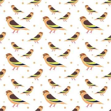 Seamless pattern with bird. Vector texture illustration. Stock Illustration