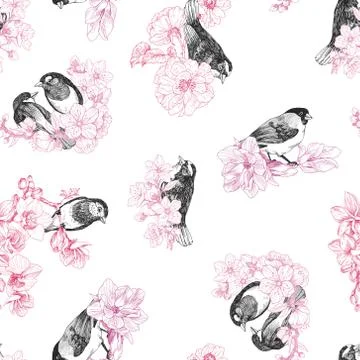 Seamless pattern of birds hand drawn in vintage style with flowers. Spring bird Stock Illustration