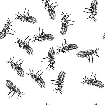 Seamless pattern bite mosquito sketch hand drawn Stock Illustration