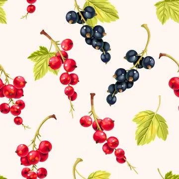 Seamless pattern black and red currant berries Stock Illustration