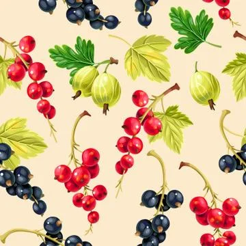 Seamless pattern black and red currant berries Stock Illustration
