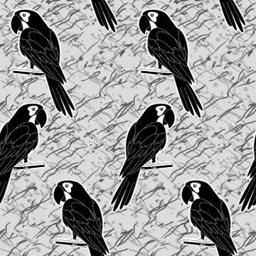 Seamless pattern, black and white parrots Stock Illustration