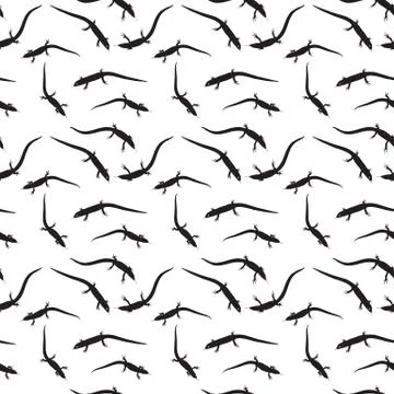 Seamless Pattern of Black and white silhouette  Lizard. Vector Stock Illustration