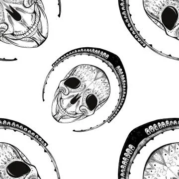 Seamless pattern. black and white skull with elements around Stock Illustration