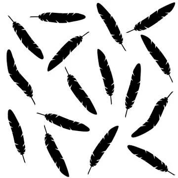 Seamless pattern black and white feathers 스톡 일러스트