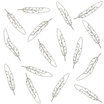 Seamless pattern black and white feathers Stock Illustration