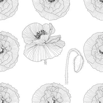 Seamless pattern of black and white poppies Stockillustratie