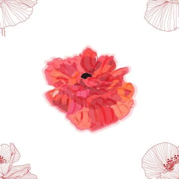 Seamless pattern of black and white poppies Stock Illustration