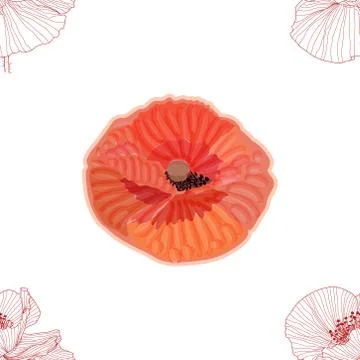 Seamless pattern of black and white poppies 스톡 일러스트