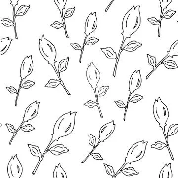 Seamless pattern - black and white buds in vector graphics, for decoration of Stock Illustration
