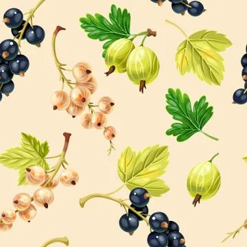 Seamless pattern black and white currant berries Stock Illustration