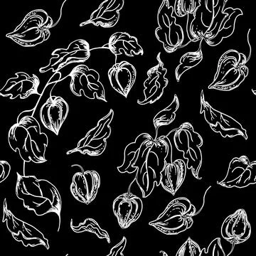 Seamless pattern with black and white flowers.vector illustration Stock Illustration